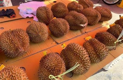 ��ǻ��������3��ˮ�������ӣ���