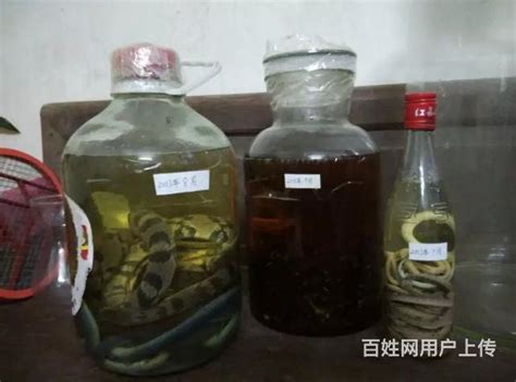 酒制功效(保健功效/消食功效/醒酒功效)
