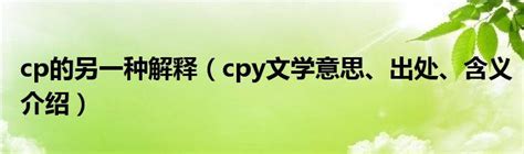 cpy��ѧ��ʲô��˼ cpy��ѧ��ʲ