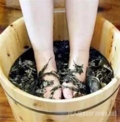 ��ְ�Ҷ�ݽ�һ����(�Ų��¶����ߣ���ʪ����������ʧ��)_0