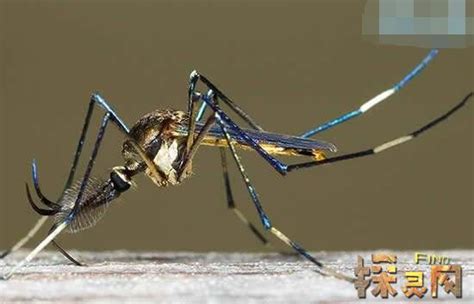 �������ӣ��𸹾��ó���11���ף�����Ѫ��ҧ��