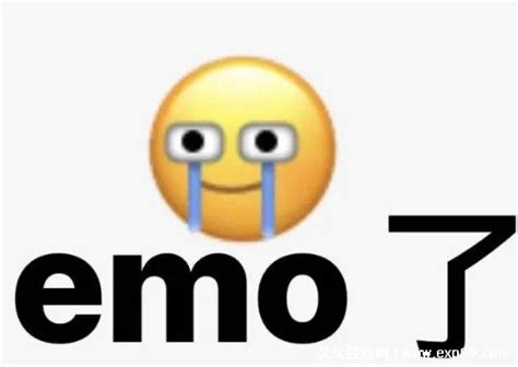 EMO��ʲô��˼���������ʲô