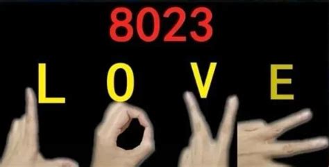 8023���ִ�����ʲô��˼��8023��