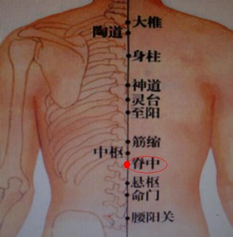 ����Ѩ�������빦Ч(������Ѫ��