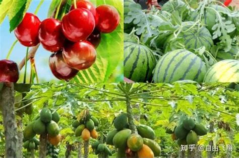 ������ˮ����һ��(⨺��ң����ӣ�ľ��)