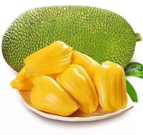���겤����ǧ�����5��ʳ��(ţ��