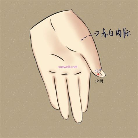 ����Ѩ�������빦Ч(���İ���