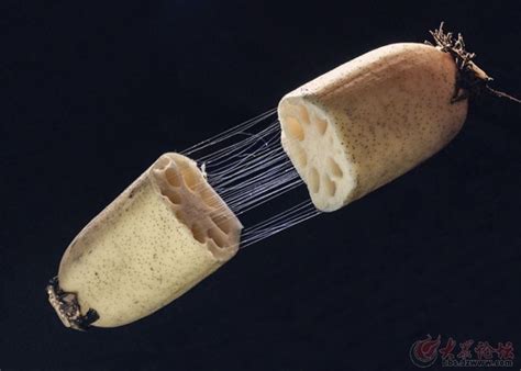 ź��˿����˿��ɶ���ã�ź�����