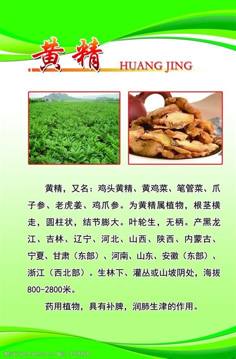 �ڼ���Ч(�������գ�����������