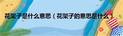 ������ʲô��˼���������ӡ�һ�ʵ�����