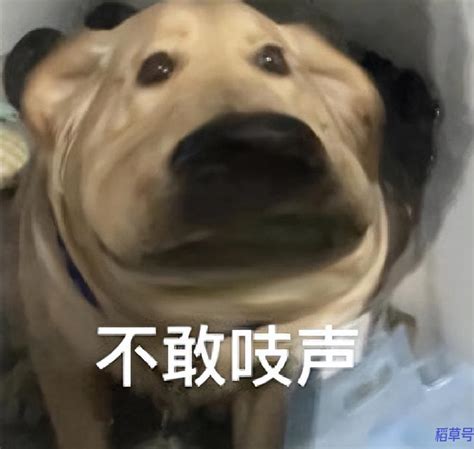 ��ԩ��ʲô��˼��ʲô����������