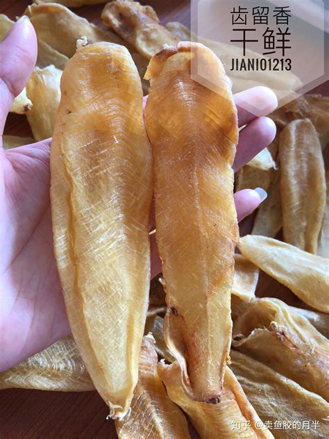 �����Ҽ���Ч(������������Ѫ��θ����������)