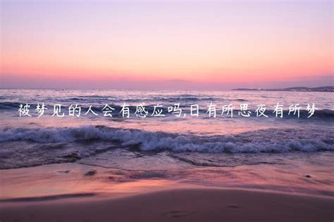 ���μ����˻��и�Ӧ��(���ص��ξ��������ĳ�������ѧ�Ľ���)