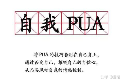 ��������pua��ʲô��˼ ��ʵ���
