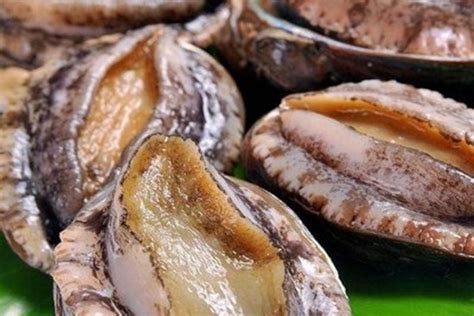 �Ա�����Ҫ��ͷ������,������ô����������
