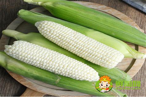 ���׿�ʳ�ò��ֶ��ٱ�����������