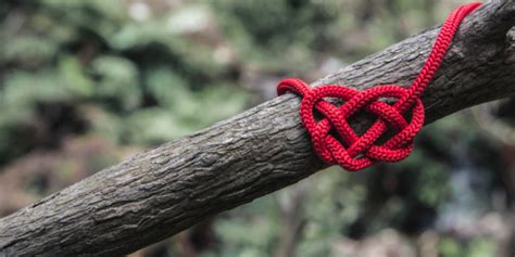 rope��ʲô��˼ ropeʲô��˼