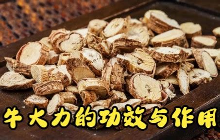 ţ�ǹ�Ч(����ǿ������ƣ�ͣ���