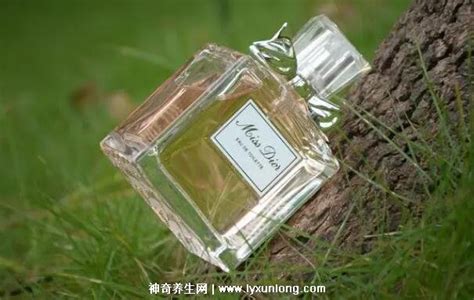 Ů�ԹԹ���ˮ����Ǯ��ɫ��ζ���۸���ɫ����ζ