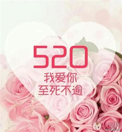 520˵˵������Ȧһ�仰