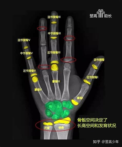 ������ʲô��˼,������ô��,����