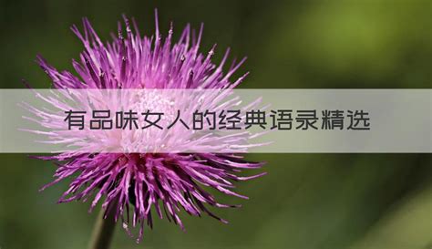 ��ƷζŮ�˵ľ�����¼