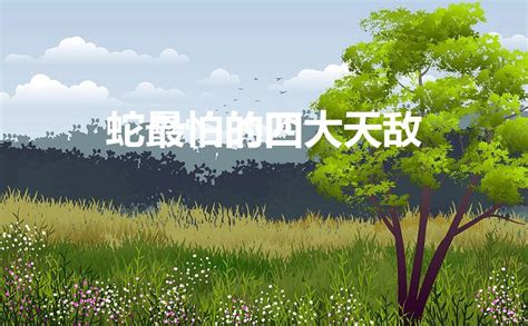 �����µ����ֿ����Ĵ������˭��