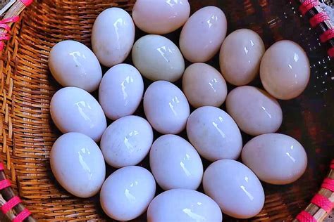 ���ٿ�ũ��׳������