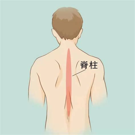 ��Ů����ʹλ��ͼ��⣬�����Һ���ʹ����ͼ(���ӱ���ԭ��)