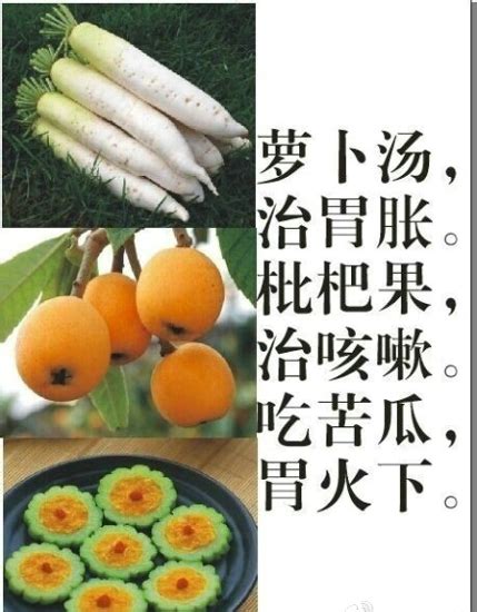 ʳ����ȫ ������Щʳ����Դ�