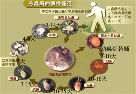 ���没֢״