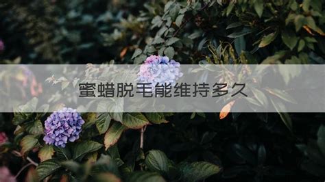 ������ë��ά�ֶ��