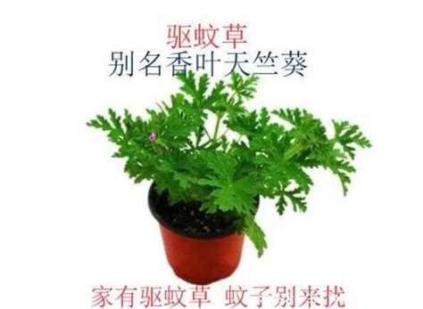 �������µ�3�����ǣ����ɣ�����