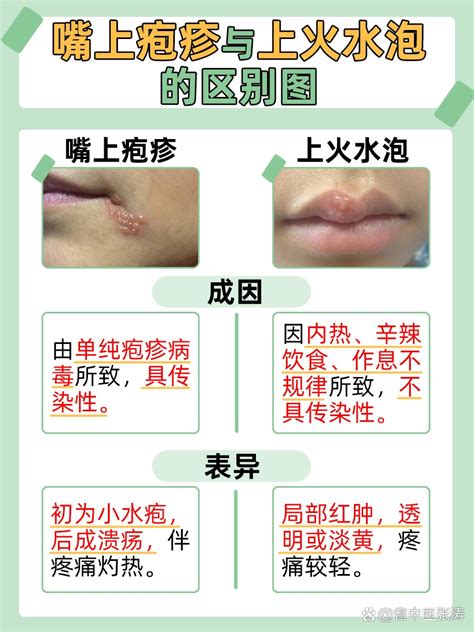 ����������ϻ�ˮ�ݵ�����ͼ������һƬƬ��ˮ��һ�ſţ�2��ͼ��